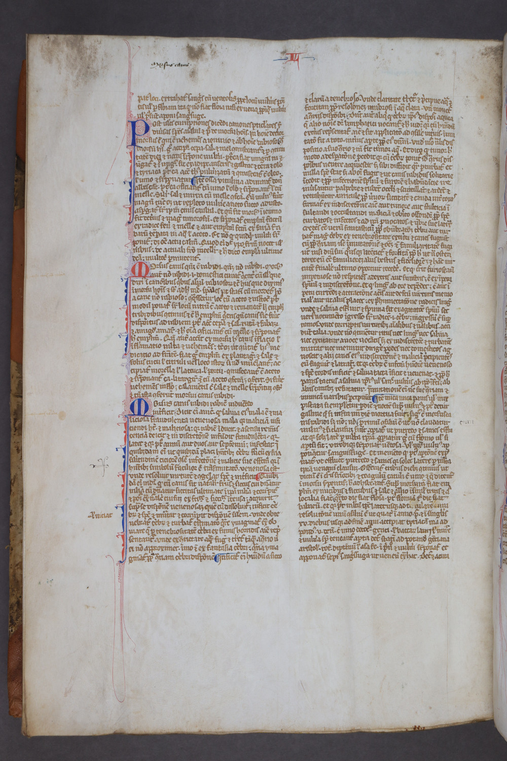 Folio 161 verso